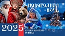 Новогодняя ночь 2025